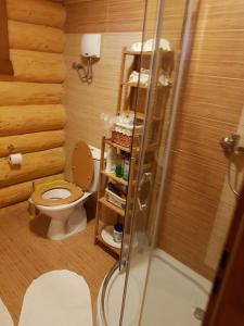 a small bathroom with a toilet and a shower at Zrubová chata Jakub in Oravská Lesná