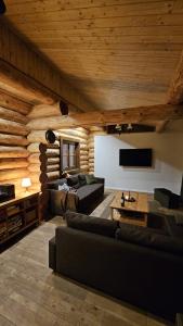 a living room with a couch and a tv at Zrubová chata Jakub in Oravská Lesná