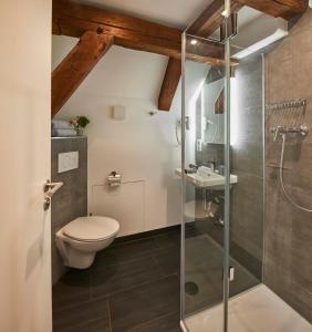 a bathroom with a toilet and a glass shower at Gasthaus Alter Wirt in Oberneuching +21 photos