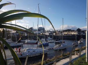 a group of boats docked in a harbor at Riverchapel Guesthouse in Courtown