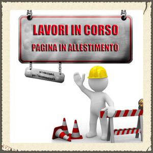 a person wearing a hard hat holding a sign at Home Sicilia in Carini