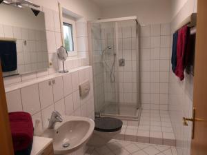 a bathroom with a shower and a toilet and a sink at Ferienwohnung Doris in Schmalkalden +14 photos