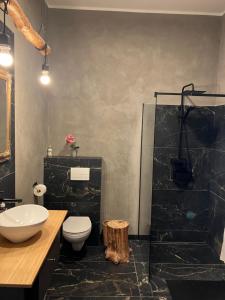 a bathroom with a sink and a toilet and a shower at Apartament Kołobrzeska in Piła +16 photos