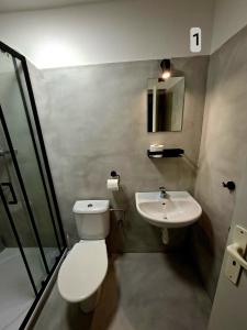 a bathroom with a toilet and a sink at Penzion u Martina in Liberec +67 photos