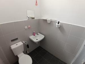 a bathroom with a white toilet and a sink at Babah Homestay in Merlimau +8 photos