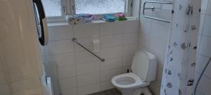 a small bathroom with a toilet and a window at Hyryntie 33 as 3 in Hyrynsalmi +15 photos
