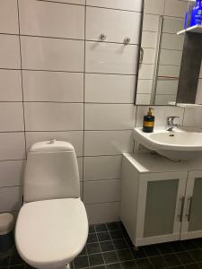 a bathroom with a toilet and a sink at Kartano Kievari in Äänekoski
