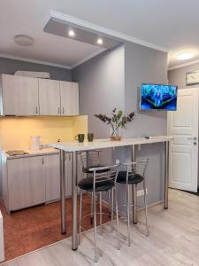 a kitchen with a table and chairs in a room at Kyiv Lesi 3 Studio Apartment in Kyiv