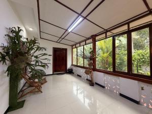 a large room with windows and a plant on the floor at Sylvan Crest Ella in Ella