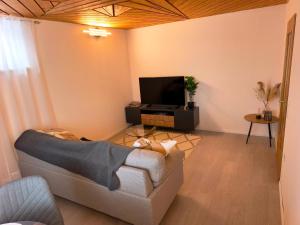 a living room with a couch and a tv at Schwarzwald Apartments I in Lenzkirch