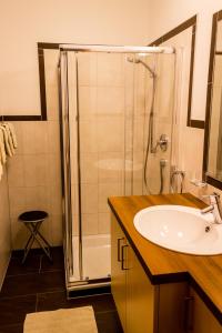 a bathroom with a shower and a sink at Ferienwohnung Abraham in Nauders +39 photos
