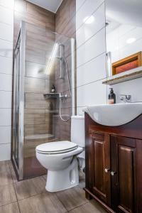 a bathroom with a toilet and a sink and a shower at Dworek Galicyjski in Oświęcim