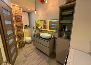 a bathroom with a sink and a mirror at Celia Center Celje Apartment in Celje