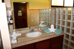 a bathroom counter with a sink and a mirror at La Foresta Nature Resort in Quepos +17 photos