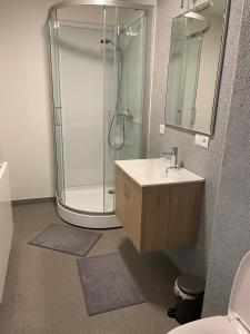 un bagno con doccia e lavandino di JoHa Haus a Hasselt