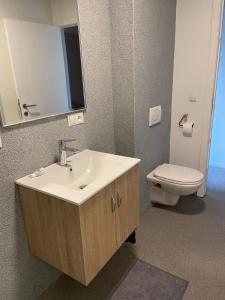 un bagno con lavandino e WC di JoHa Haus a Hasselt