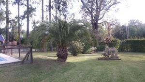 a palm tree in the middle of a yard at CARELHUE-1 Zarate in Zárate