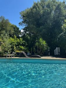 a swimming pool with blue water and trees at Paloma in Hossegor