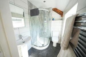 a bathroom with a shower and a sink and a toilet at Honeysuckle Cottage in Hele