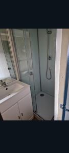 a bathroom with a shower and a sink and a toilet at Mobilhome spacieux in Pornic +7 photos