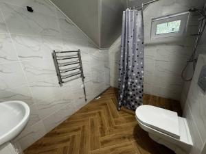 a bathroom with a sink and a toilet and a shower at Bilia Tustani in Urych +83 photos