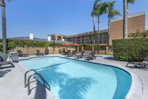 a large swimming pool with chairs and palm trees at Best Western Airpark Hotel - LAX Airport LA Stadium in Inglewood