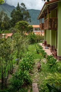 a dog walking in the grass next to a house at Casita Huaran in Calca