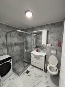 a bathroom with a shower and a toilet and a sink at Apartman Miljanic in Vlasenica