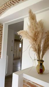 a vase with feathers in it sitting on a counter at Gite OWEN in Bourbourg