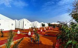 a group of white tents in a field with trees at Azadic luxury tents in Merzouga