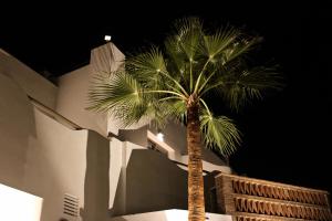 a palm tree in front of a building at night at HA Hotel TESORO MEDITERRANEO in Almuñécar