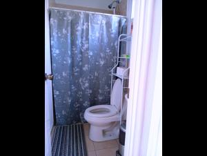 a bathroom with a toilet and a blue shower curtain at Casa de Milo in Ahuachapán +16 photos