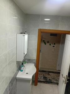 a bathroom with a toilet and a sink and a shower at Alyakek Apartment in Istanbul +6 photos