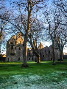an old castle with trees in front of it at Kirkwall town centre apartment 3 in Kirkwall