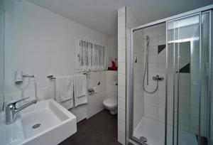 La salle de bains est pourvue d'une douche, d'un lavabo et de toilettes. dans l'établissement Gasthof Bären, à Ranflüh