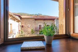 a window with a potted plant on a wooden floor at Jardín Botánico in Lloreda