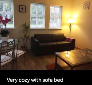 a living room with a couch and a coffee table at Curraghchase Cottage in Limerick