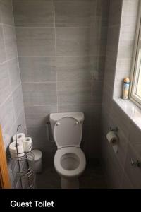 a small bathroom with a toilet and a window at Curraghchase Cottage in Limerick