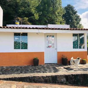 a dog standing in front of a house at Casa Sustentable Monarca Angangueo in Mineral de Angangueo