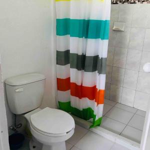 a bathroom with a toilet and a colorful shower curtain at Casa Sustentable Monarca Angangueo in Mineral de Angangueo