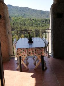 a table with a potted plant sitting on a balcony at Bettyhouse in Sasseta