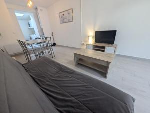 a living room with a couch and a television at 2 bedroom house Bourbourg in Bourbourg