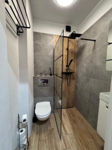 a bathroom with a toilet and a shower at Apartament Centrum in Płock
