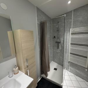 a bathroom with a shower and a sink at Le Nid Bressan in Bourg-en-Bresse