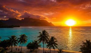 a sunset over a beach with palm trees and the ocean at Studio Kumbaya in Faaa