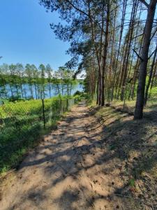 a dirt road with trees and water in the background at Domek nad jeziorem Anastazewo in Anastazewo