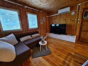 a living room with a couch and a flat screen tv at Domek nad jeziorem Anastazewo in Anastazewo