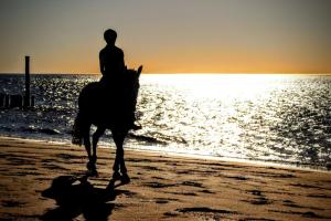una persona a cavallo sulla spiaggia al tramonto di Centrum 26 a Brouwershaven Altre 7 foto