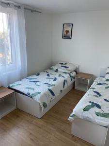 a bedroom with two beds and a window at Motel Żabka in Łyse