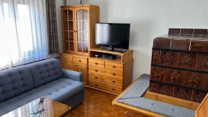 a living room with a couch and a flat screen tv at Apartments Vila Ančka in Tržič